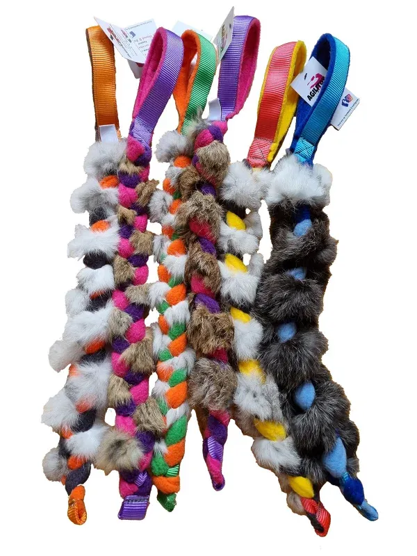 Agilitoy Rabraid (assorti)