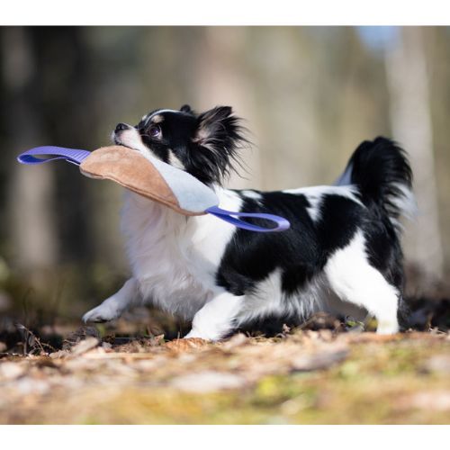 Sports K9 - Cutie Tug Toy