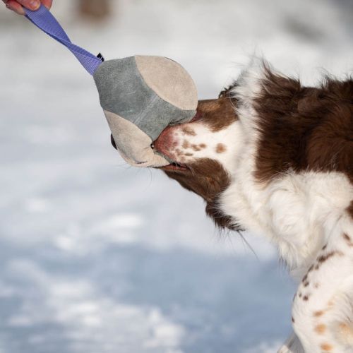 Sports K9 - Hefty Ball (paars)