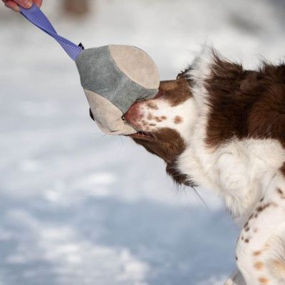 Sports K9 - Hefty Ball (paars)