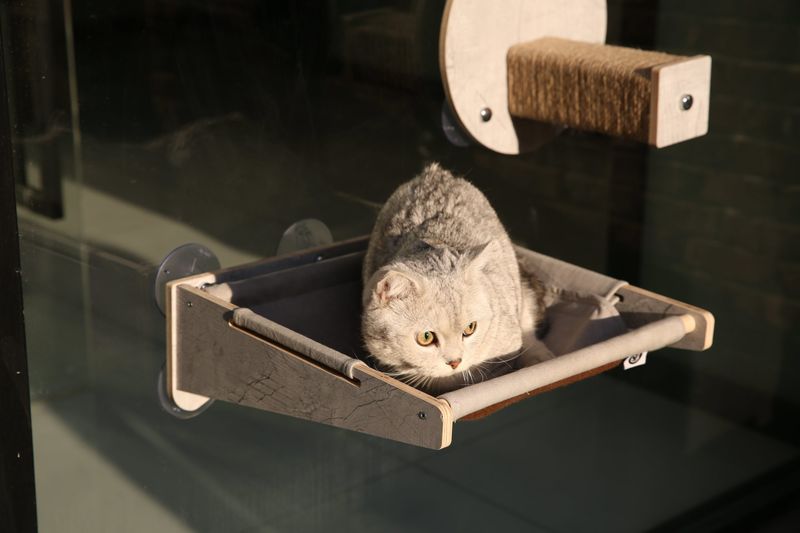 Joycat Raambed hangmat grijs