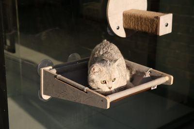 Joycat Raambed hangmat grijs