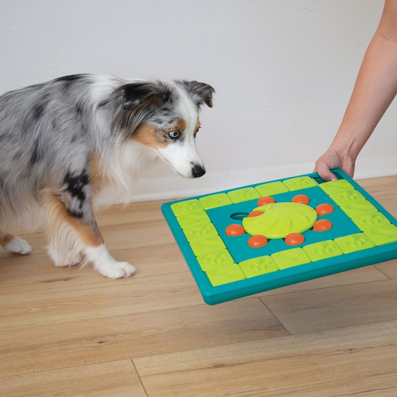 Nina Ottosson - Multipuzzle (ook uitleen mogelijk)