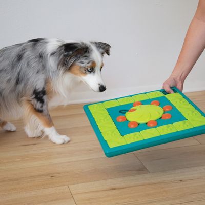 Nina Ottosson - Multipuzzle (ook uitleen mogelijk)
