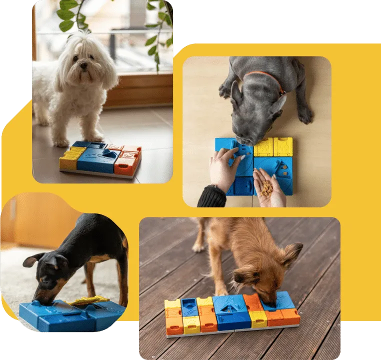 Pawzler Smart set (ook uitleen mogelijk)
