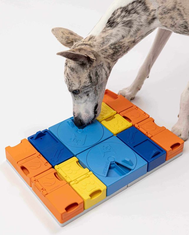 Pawzler Regenboog set (ook uitleen mogelijk)