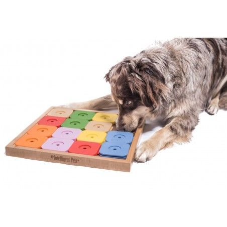 Hondenpuzzel - My Intelligent Dogs- Dog Sudoku Rainbow (ook uitleen mogelijk)