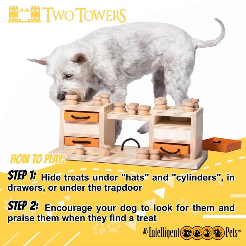 Hondenpuzzel - My Intelligent Dogs- 2 Towers (ook uitleen mogelijk)