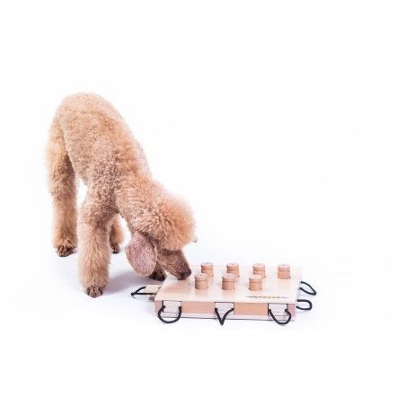 Hondenpuzzel - My Intelligent Dogs- iPet@ - Slimme Hond (ook uitleen mogelijk)