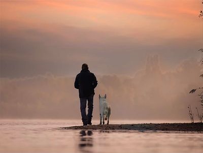 Relatie met je hond