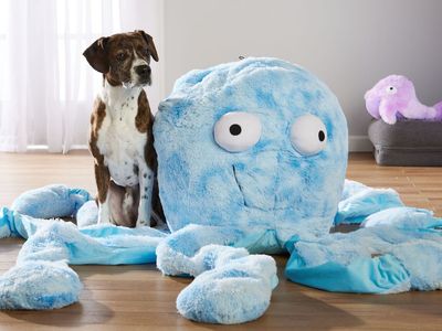 Teddybeer bij angst en stress