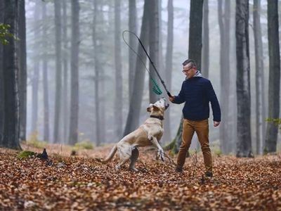 Gedragsveranderingen tijdens puberteit hond