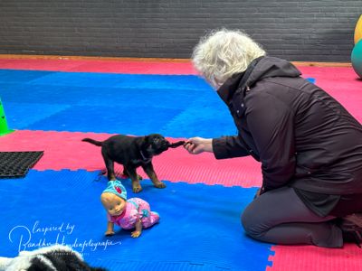 Hond en een baby op komst?