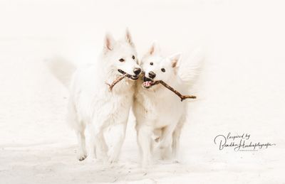 Let op met saté prikkers!