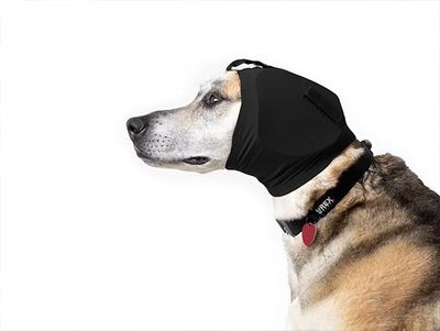 Help je hond bij angst, ook voor vuurwerk en harde knallen!!