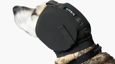 Professionele gehoorbescherming honden Rex Specs Ear-Pro