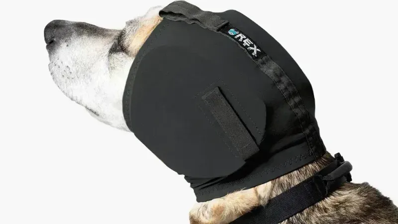 Professionele gehoorbescherming honden Rex Specs Ear-Pro