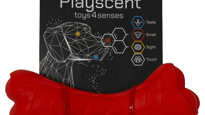 Speelbot van Jack and Vanilla (PLAYSCENT Bone)