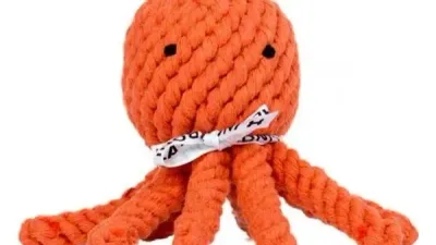 Thaddäus Inktvis Laboni Thaddäus Inktvis Laboni