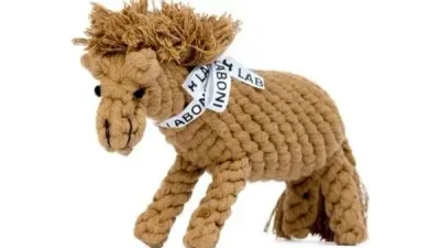 Franz Ferdinand Laboni Franz Ferdinand Laboni