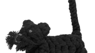 Kater Kasanova Laboni Kater Kasanova Laboni