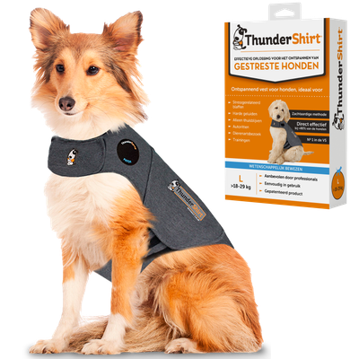 Thundershirt voor honden