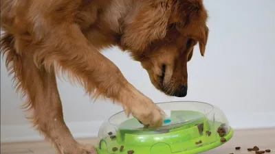 Wobble Bowl /slow feeder en puzzel in 1