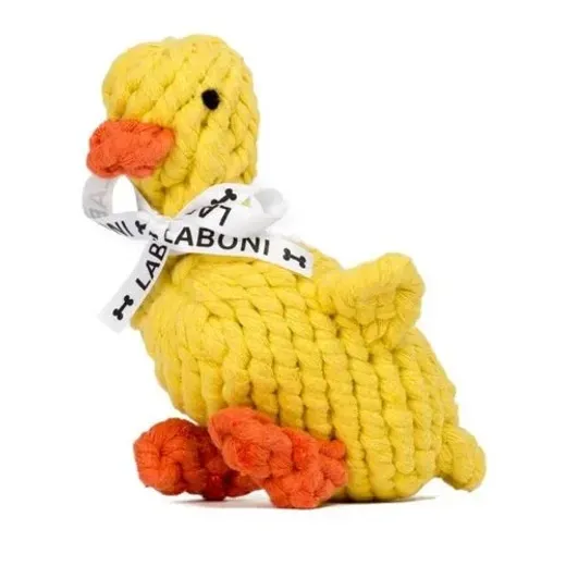 Emma Ente Laboni Emma Ente Laboni