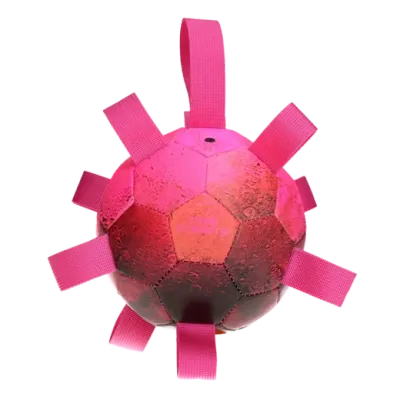 Dog Comets Hypernova Dog Comets Hypernova