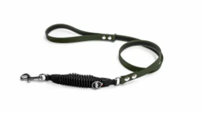 WAW Icon hondenlijnen