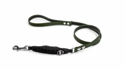 WAW Icon hondenlijnen