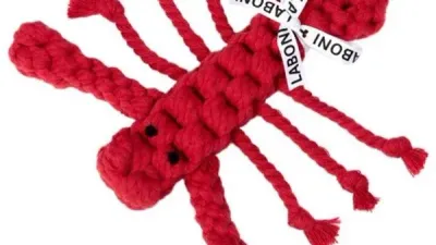 Hugo Hummer en Hugo Hummer JR Laboni Hugo Hummer en Hugo Hummer JR Laboni