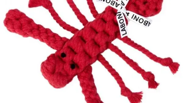 Hugo Hummer en Hugo Hummer JR Laboni Hugo Hummer en Hugo Hummer JR Laboni