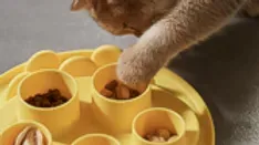 Anti schrokbak voor katten (Cat digger) Anti schrokbak voor katten (Cat digger)