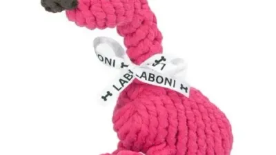 Franzi Flamingo Laboni