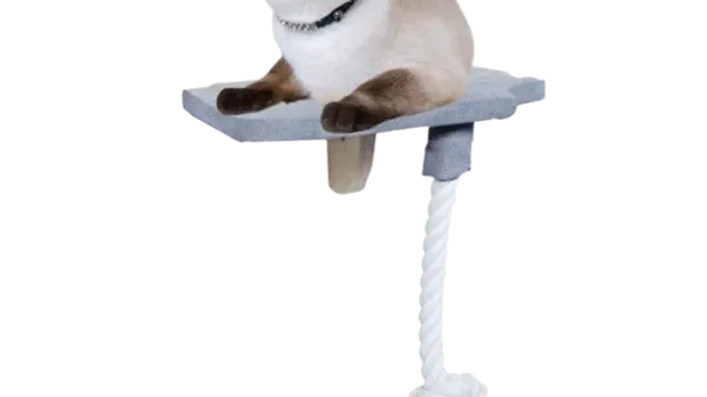 AFP Skywalk Step in platform met touw AFP Skywalk Step in platform met touw