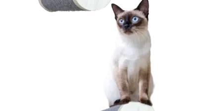 AFP Skywalk - Large Step Post Playground - 2 Pack