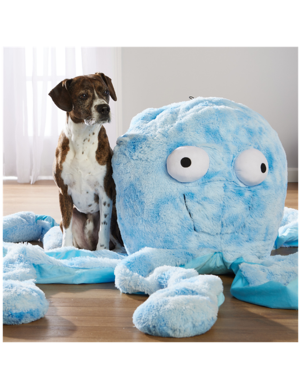 Gor Reef Octopussen Gor Reef Octopussen