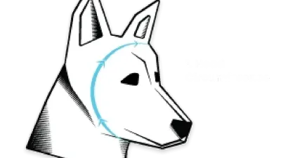 Professionele gehoorbescherming honden Rex Specs Ear-Pro