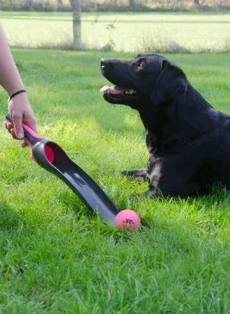 Dog Comets Star Launcher