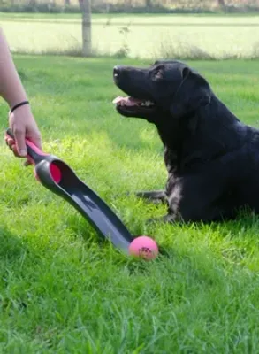Dog Comets Star Launcher