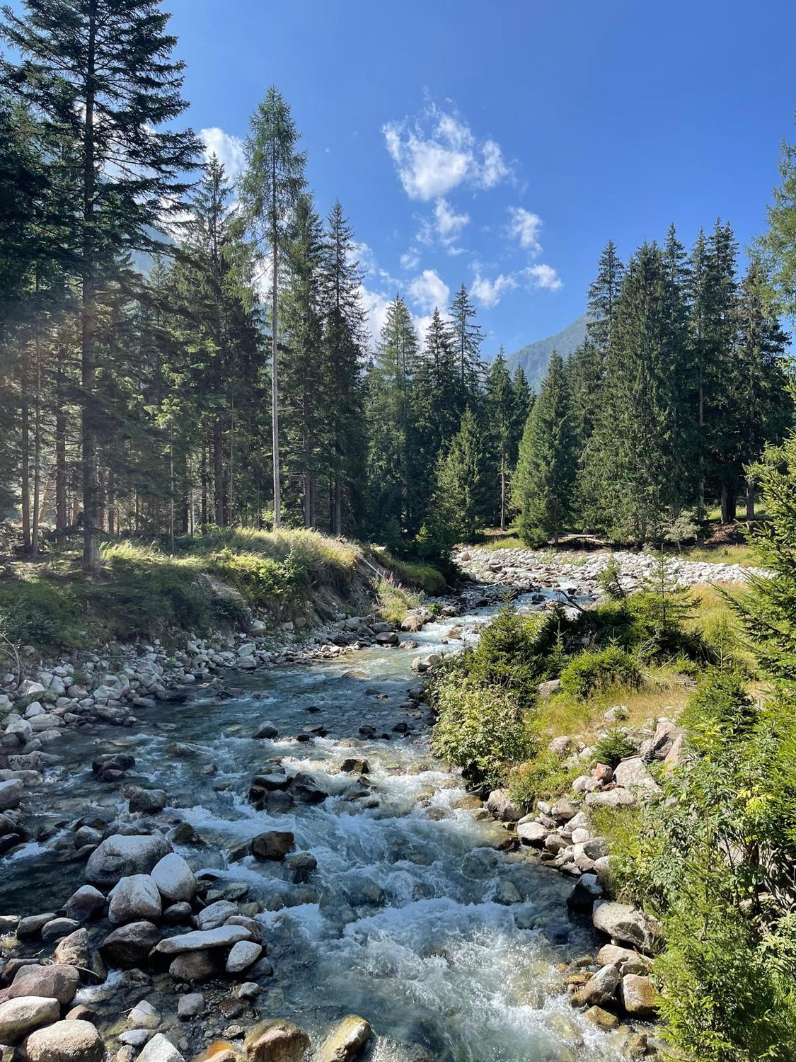Trentino (Val di Sole)