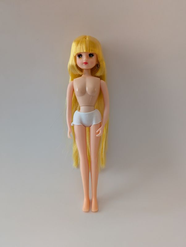 LICCA WORLD Authentic Brand New Factory Doll