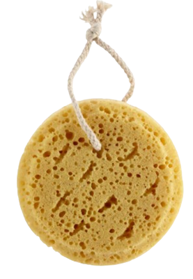 Sea Sponge
