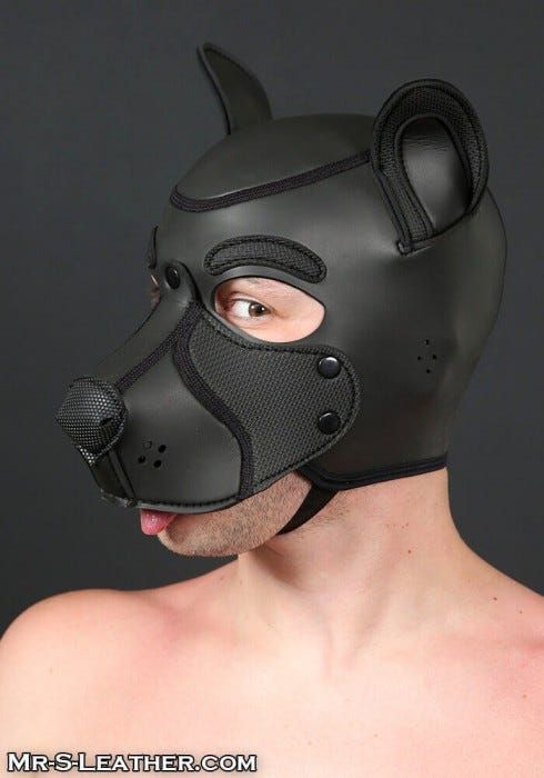 Neoprene Frisky Pup Hood - Black