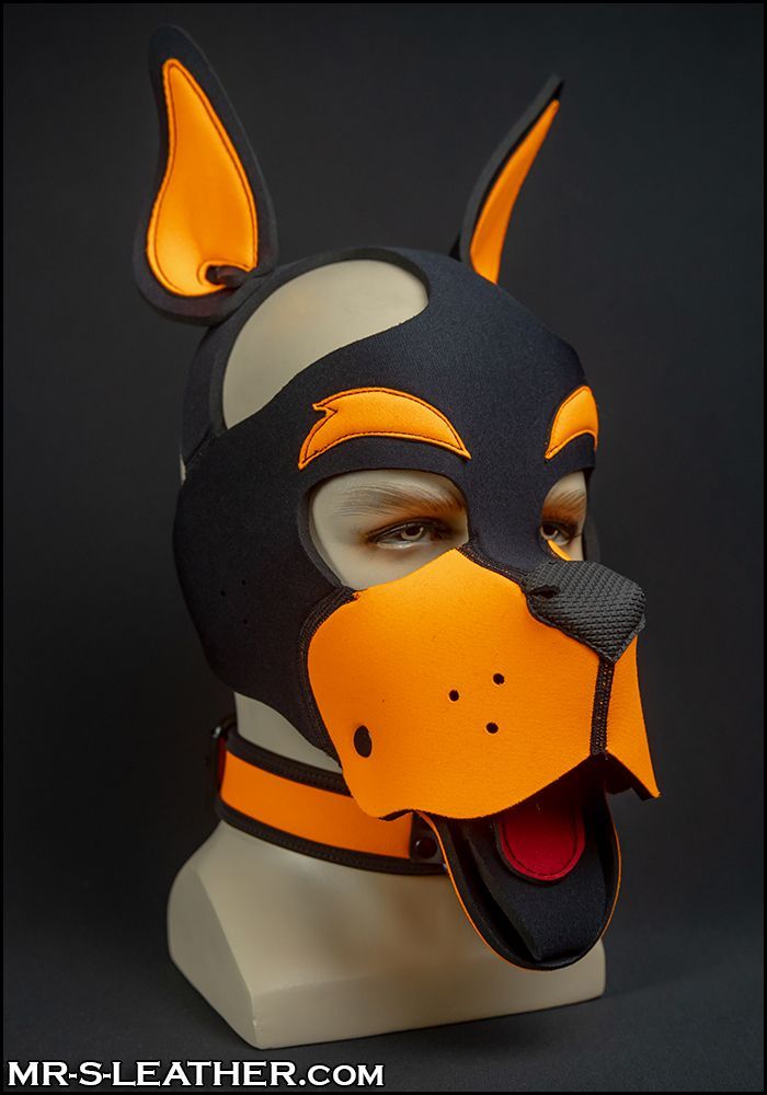 Neo WOOF! Head Harness Orange