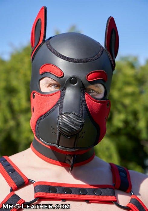 Neoprene Frisky Pup Hood - Red