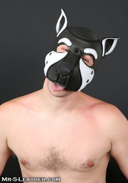 Neoprene Frisky Pup Hood - White