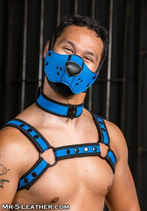 Neo K9 Face Muzzle Kit - 16 Available Colors