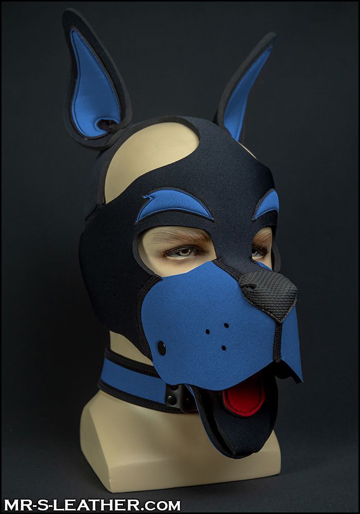 Neo WOOF! Head Harness Cobalt